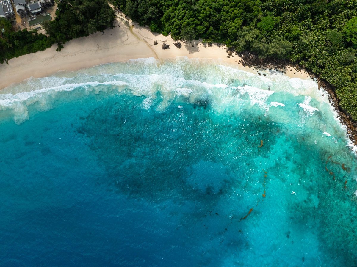 Beautiful golden sand beach with turquoise sea in Samaná Peninsula, Dominican Republic