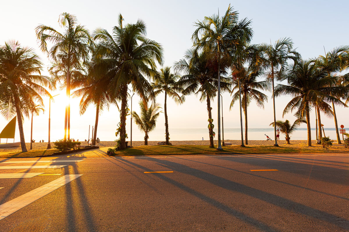 Beach road and coconut trees along the tropical seaside