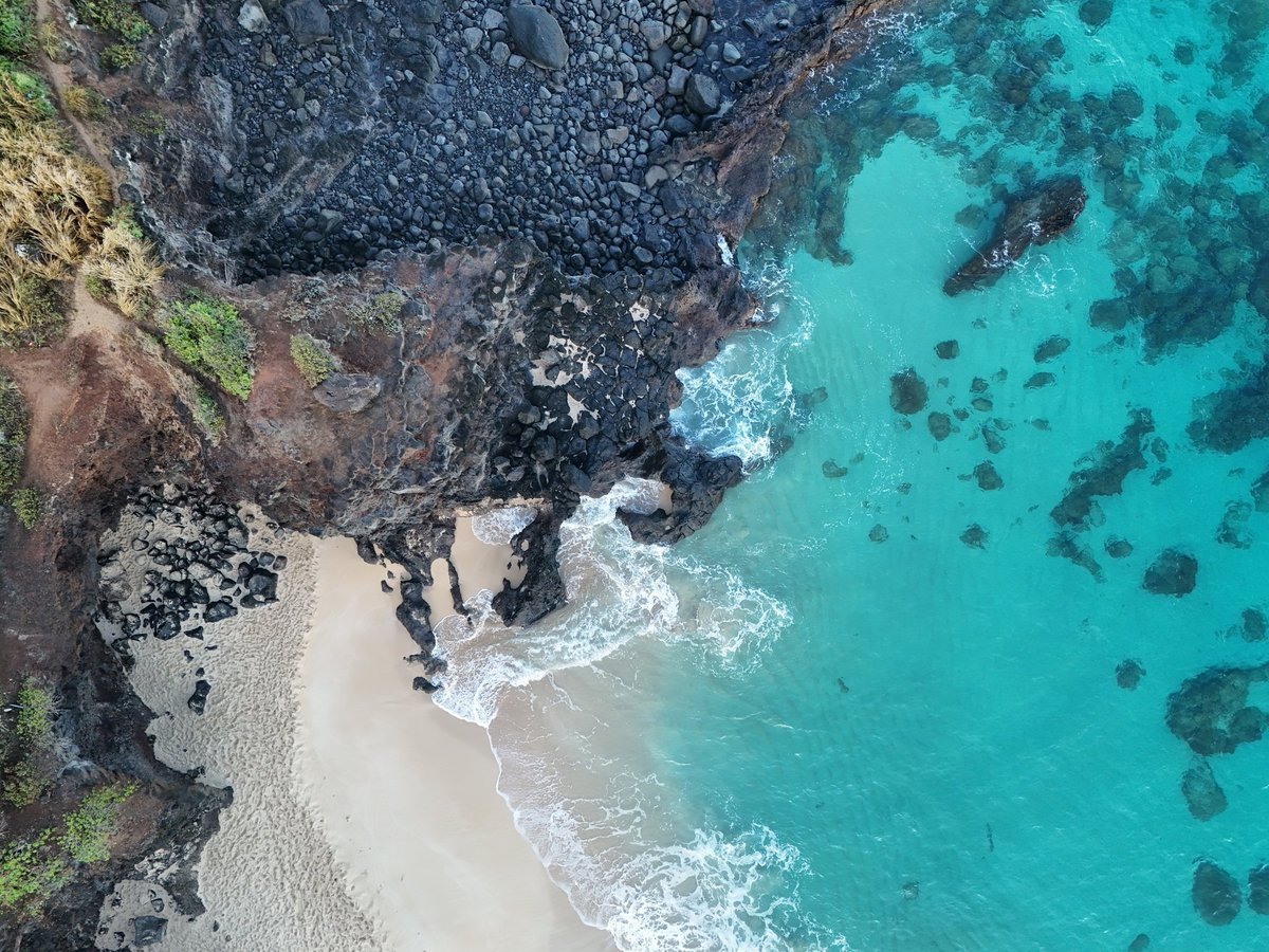 Aerial view looking down over the ocean, lava and the beach
