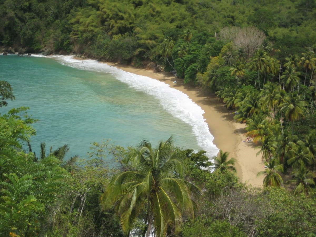 Golden crescent of sand at Englishman's Bay, Tobago, backed by dense rainforest