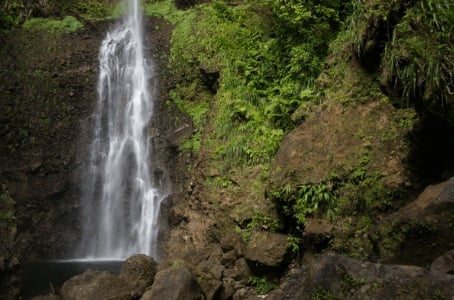 Waterfall cascading down mossy green cliffs surrounded by lush vegetation in a tropical forest setting