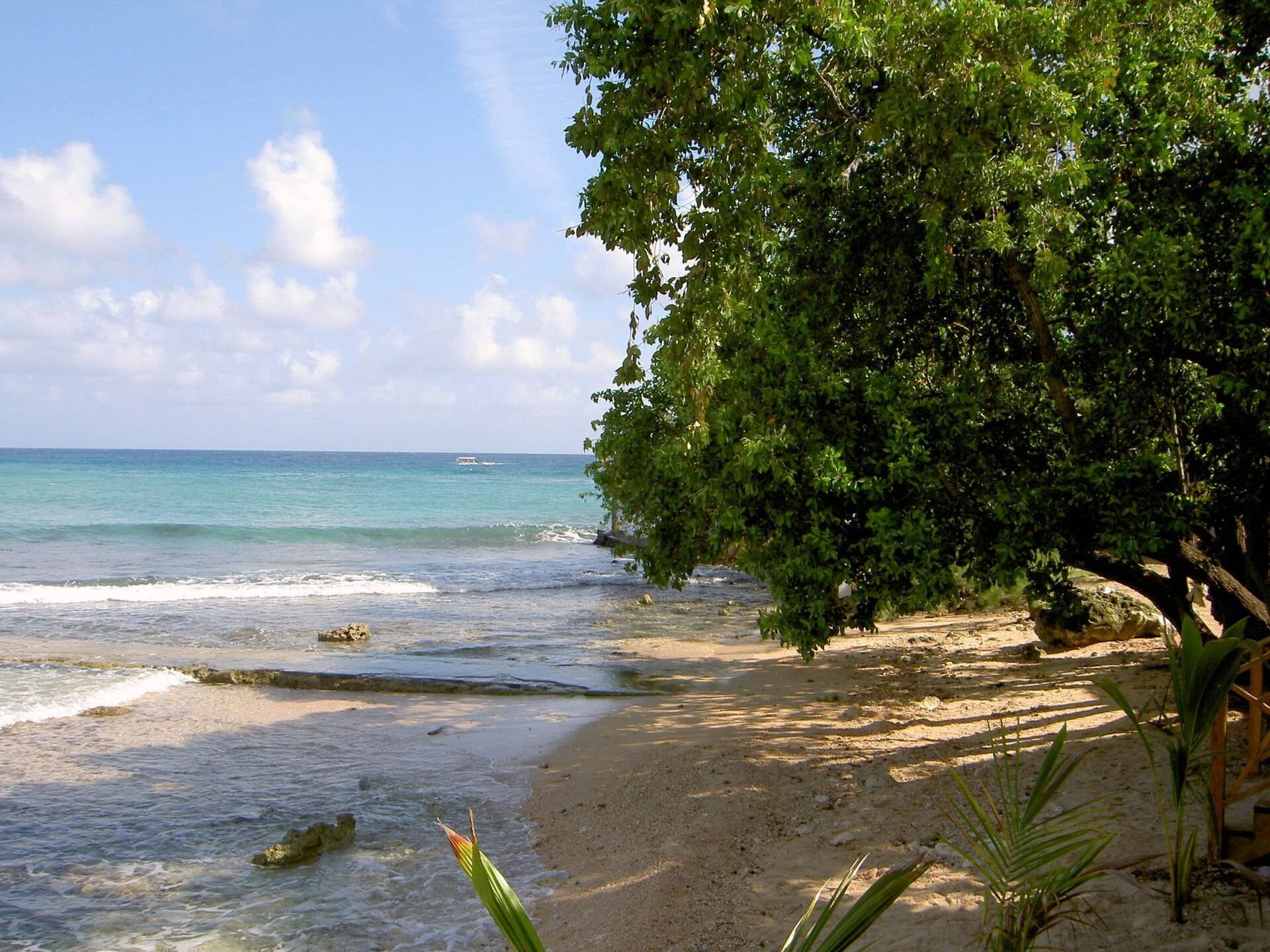 Tree-shaded beach on Jamaica's north coast