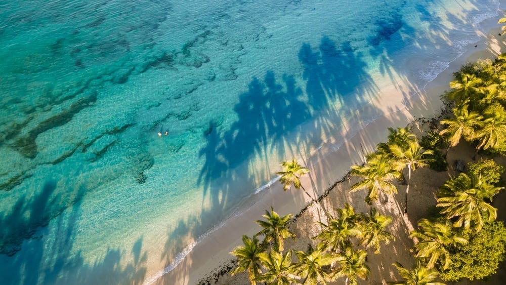Aerial view of tropical beach with turquoise water, white sand, palm trees, and shadows cast on shore