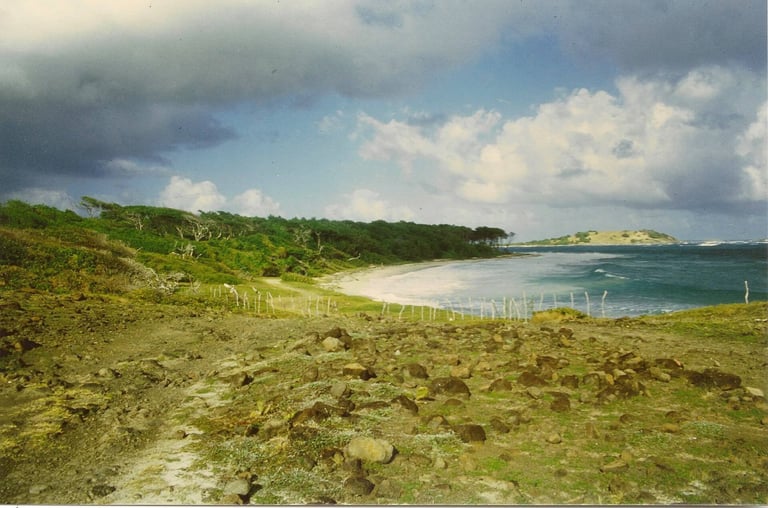 Anse Trabaud, near Les Salines, Martinique