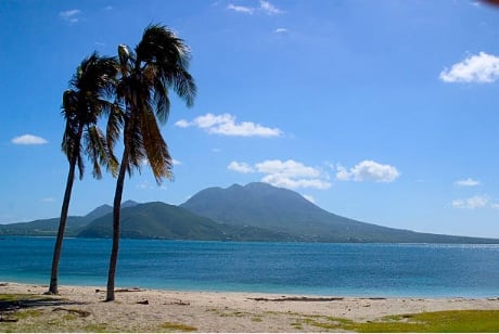 Two palm trees on a sandy beach with turquoise ocean water and a volcanic mountain in the background under blue sky