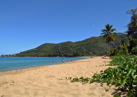 Beach on Basse-Terre, Guadeloupe