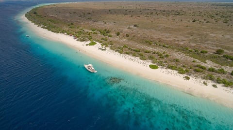Aerial view of the beach and reef at Klein Bonaire