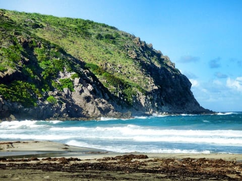Dramatic coastal cliff covered in green vegetation with turquoise waves crashing on sandy beach below under clear blue sky