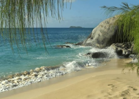 Tropical beach cove with turquoise water, sandy shore, rocky cliff, and overhanging palm fronds