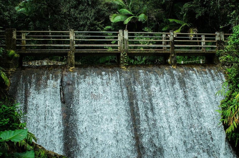 Baño Grande in El Yunque National Forest, Puerto Rico