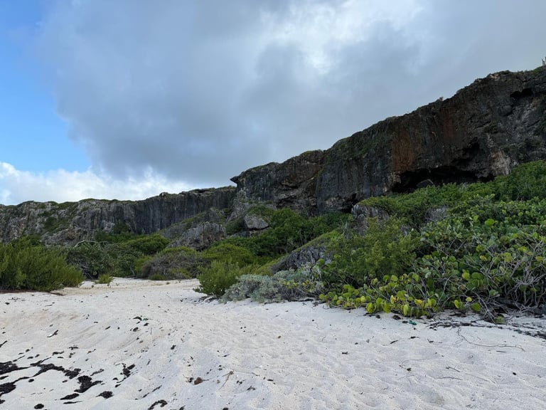 White sand beach beneath the rocky limestone cliffs of the Barbuda Highlands on the Atlantic coast