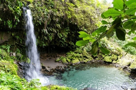 Waterfall cascading into a turquoise pool surrounded by lush green vegetation and moss-covered rocks